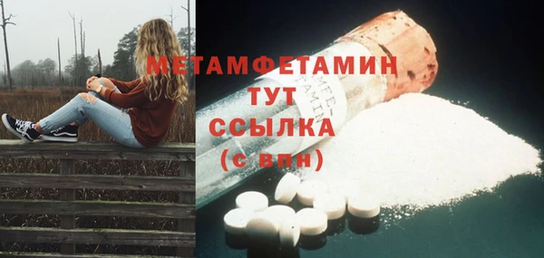 шишки Беломорск