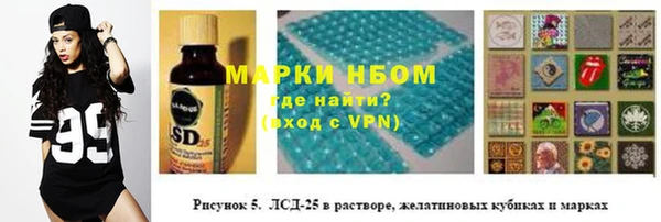 шишки Беломорск