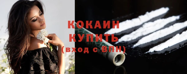 бошки Белокуриха