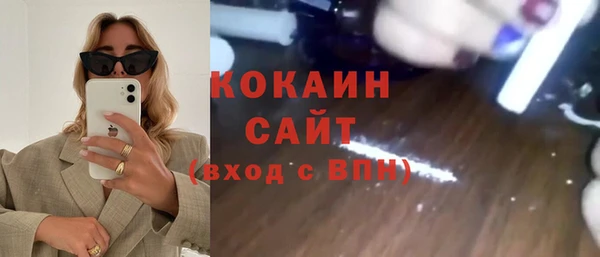 шишки Беломорск