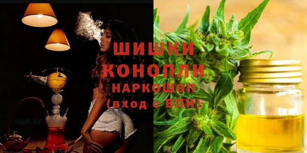 шишки Беломорск