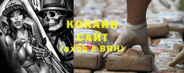 бошки Белокуриха
