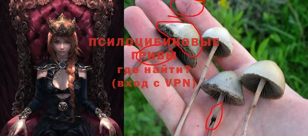 шишки Беломорск