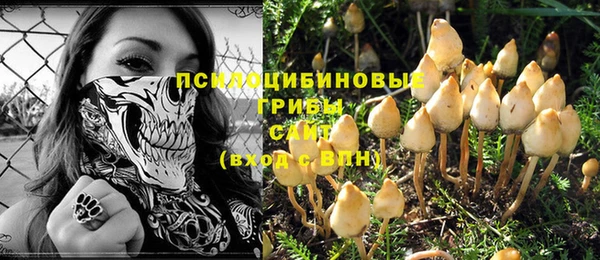 шишки Беломорск