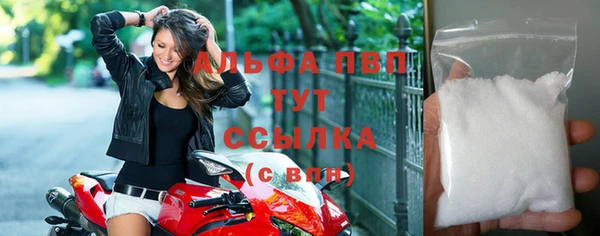 бошки Белокуриха