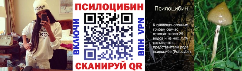 Псилоцибиновые грибы GOLDEN TEACHER  Купить где  Себеж 